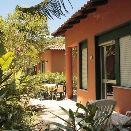 Le Palme Garden Villa San Giorgio  Bagian luar foto